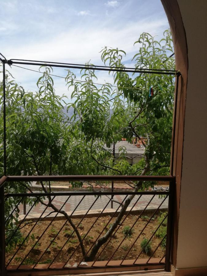 Apartmani Ana Novi V. - Studio Novi Vinodolski Kültér fotó